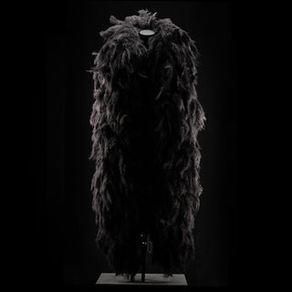 Black Boa