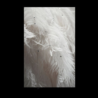 White Boa