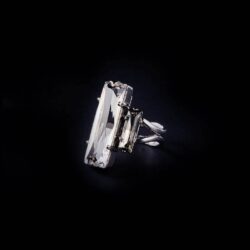 Bjorn van den Berg Fragile Ring Silver Clear Black.Diamond 1