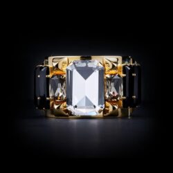 Bjorn van den Berg Maturity Limited Front Bracelet Gold Clear Black Black.Diamond